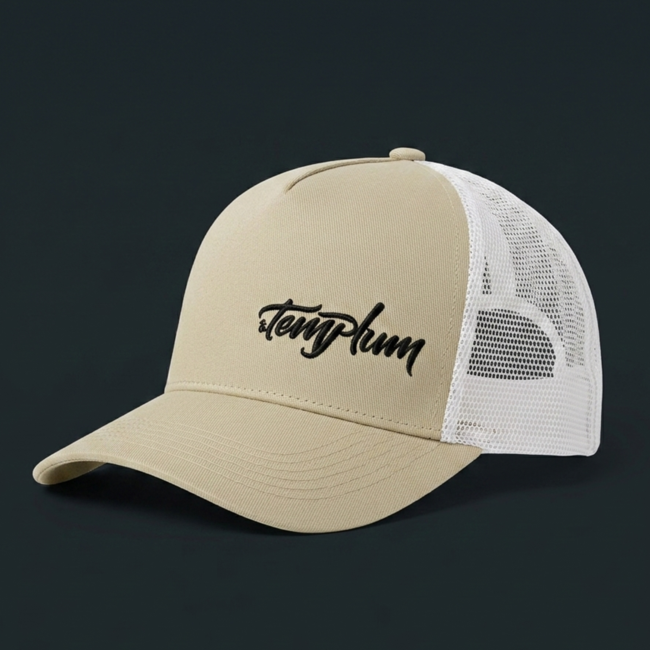 Templum CAP